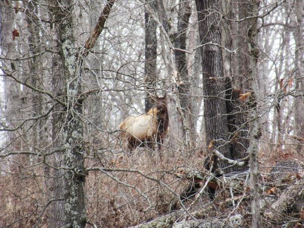 articles/une-petite-semaine-kentucky/IMG_8795.jpg