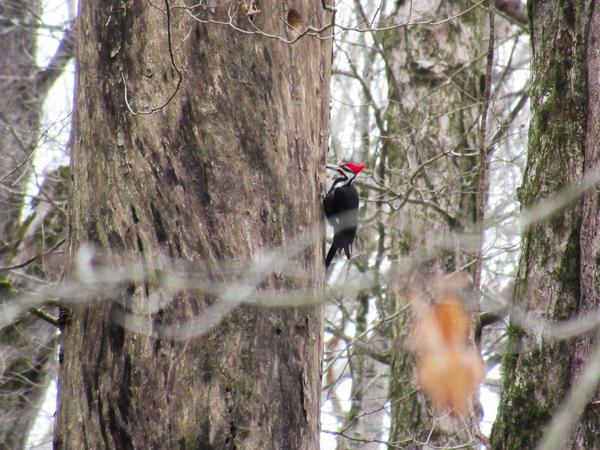 articles/une-petite-semaine-kentucky/MammothCave/IMG_8635.jpg