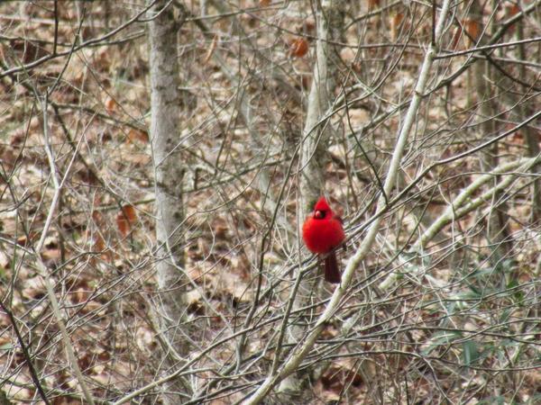 articles/une-petite-semaine-kentucky/MammothCave/IMG_8656.jpg