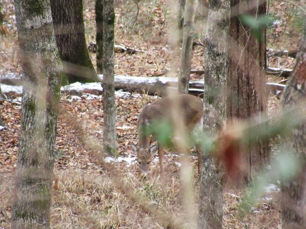 articles/une-petite-semaine-kentucky/MammothCave/IMG_8668.jpg