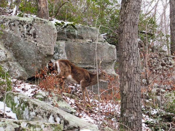 articles/une-petite-semaine-kentucky/MammothCave/IMG_8673.jpg