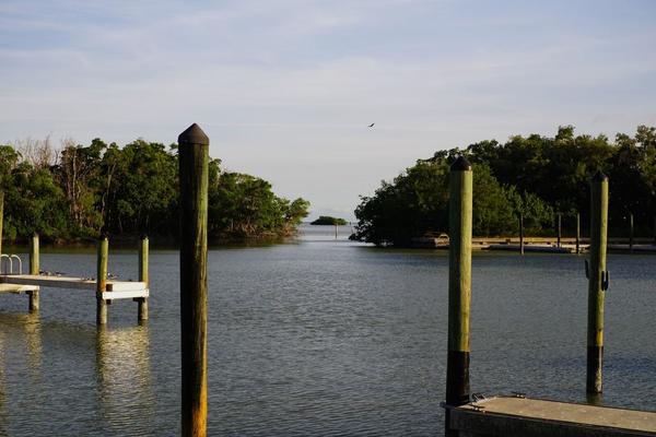 articles/une-semaine-en-floride/EvergladesNP/DSC03503.jpg