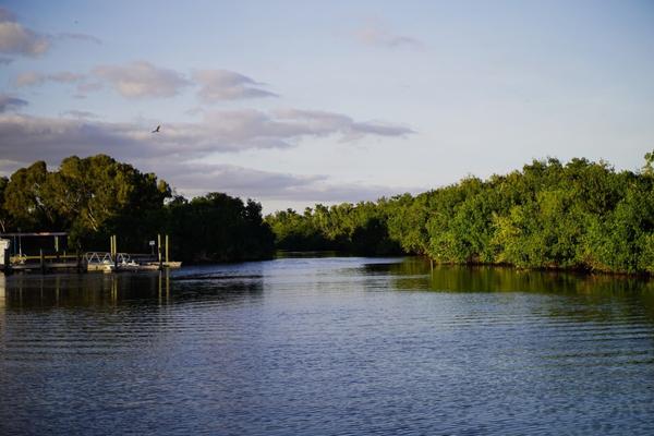 articles/une-semaine-en-floride/EvergladesNP/DSC03508.jpg