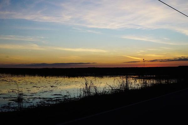 articles/une-semaine-en-floride/EvergladesNP/DSC03513.jpg