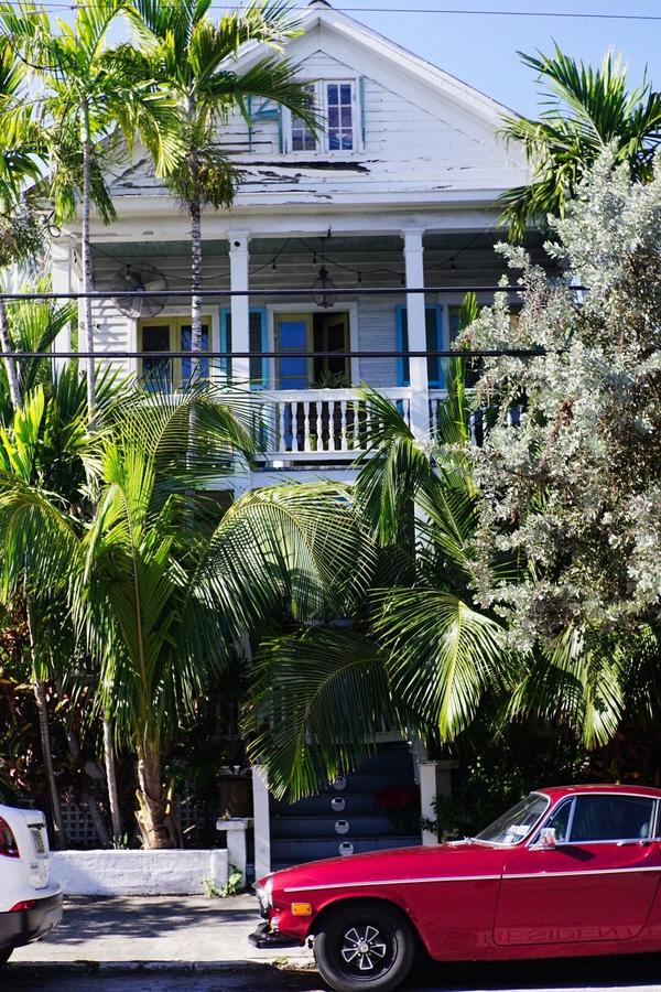 articles/une-semaine-en-floride/Keys/DSC03581.jpg