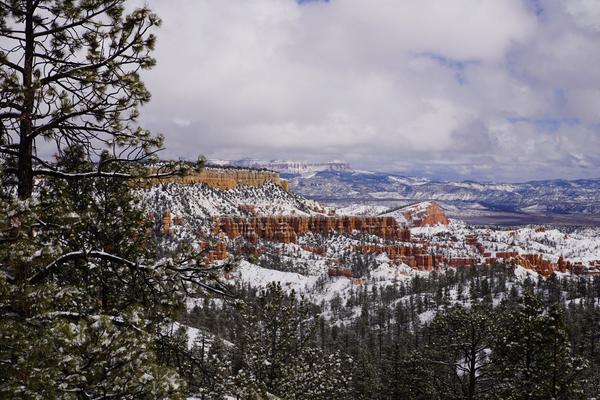 articles/utah-zion-brycecanyon-bestfriends/BryceCanyon/DSC05352.jpg