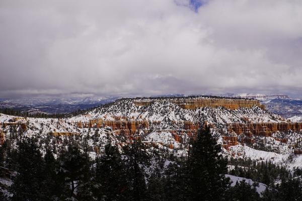 articles/utah-zion-brycecanyon-bestfriends/BryceCanyon/DSC05355.jpg
