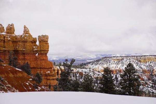 articles/utah-zion-brycecanyon-bestfriends/BryceCanyon/DSC05359.jpg