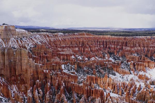 articles/utah-zion-brycecanyon-bestfriends/BryceCanyon/DSC05371.jpg