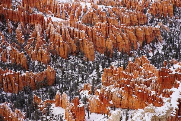 articles/utah-zion-brycecanyon-bestfriends/BryceCanyon/DSC05376.jpg