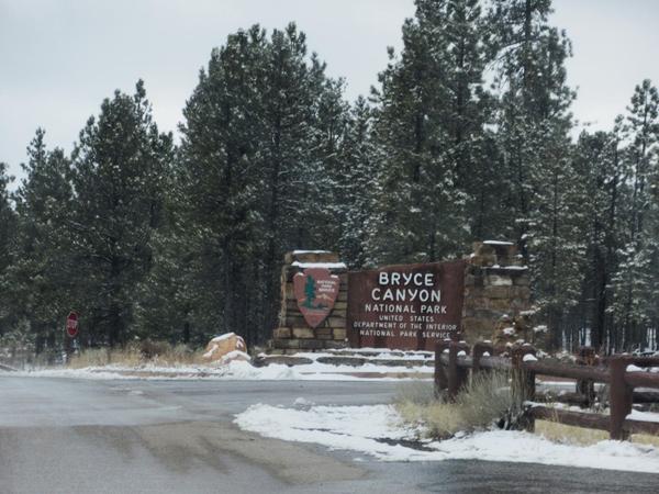 articles/utah-zion-brycecanyon-bestfriends/BryceCanyon/IMG_0537.jpg