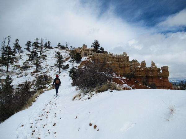articles/utah-zion-brycecanyon-bestfriends/BryceCanyon/IMG_0553.jpg