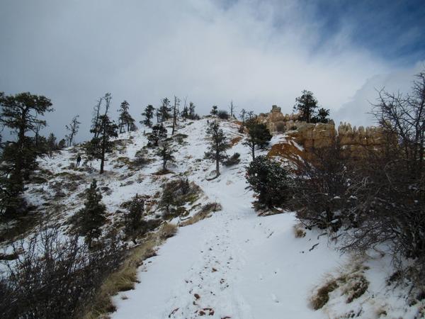 articles/utah-zion-brycecanyon-bestfriends/BryceCanyon/IMG_0557.jpg