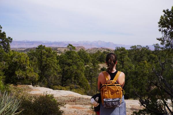 articles/utah-zion-brycecanyon-bestfriends/YantFlat/DSC05164.jpg
