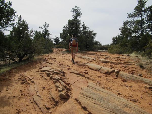 articles/utah-zion-brycecanyon-bestfriends/YantFlat/IMG_0404.jpg