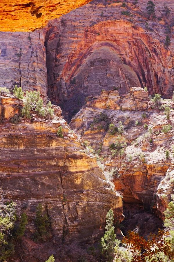 articles/utah-zion-brycecanyon-bestfriends/Zion/DSC05211.jpg