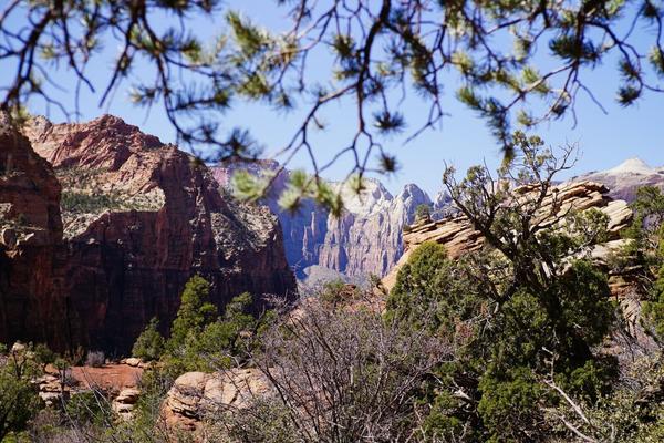 articles/utah-zion-brycecanyon-bestfriends/Zion/DSC05215.jpg