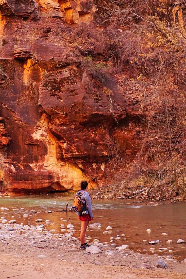 articles/utah-zion-brycecanyon-bestfriends/Zion/DSC05253.jpg