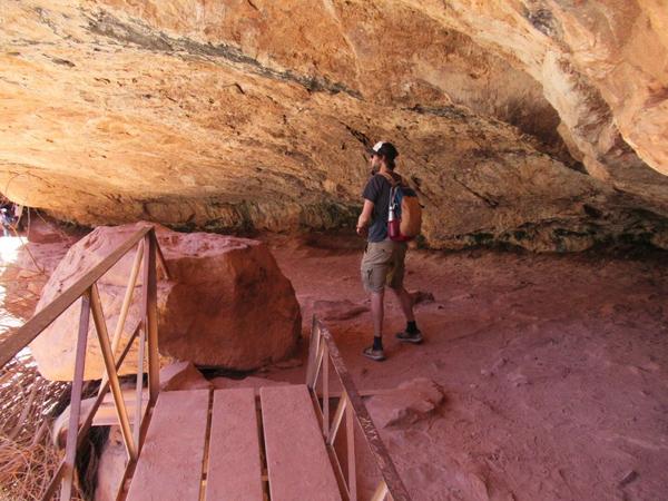 articles/utah-zion-brycecanyon-bestfriends/Zion/IMG_0446.jpg