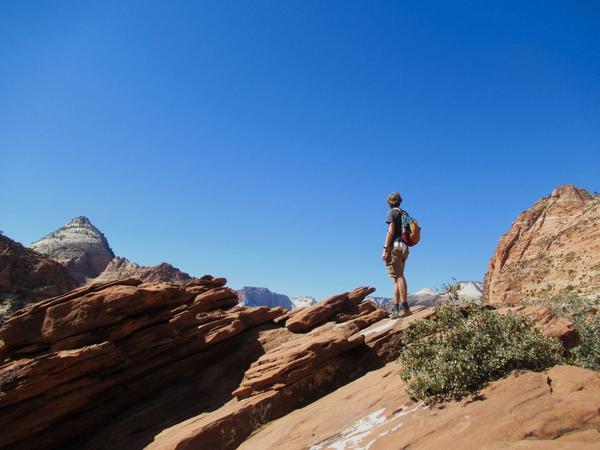 articles/utah-zion-brycecanyon-bestfriends/Zion/IMG_0454.jpg