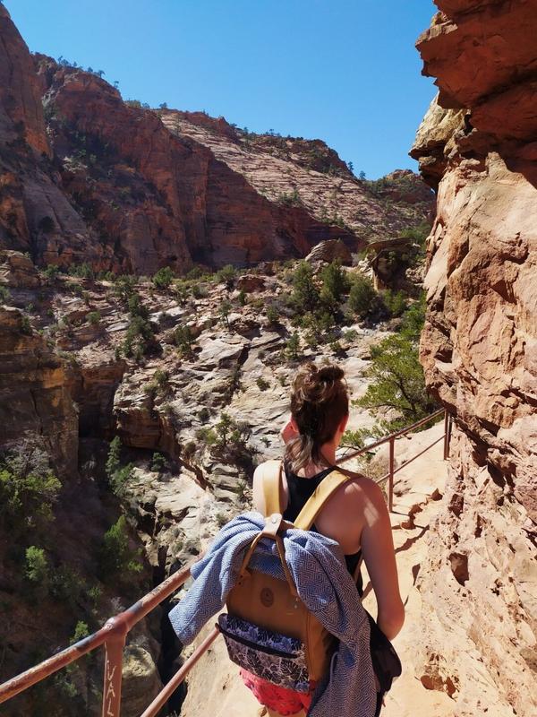 articles/utah-zion-brycecanyon-bestfriends/Zion/IMG_20210308_122201.jpg