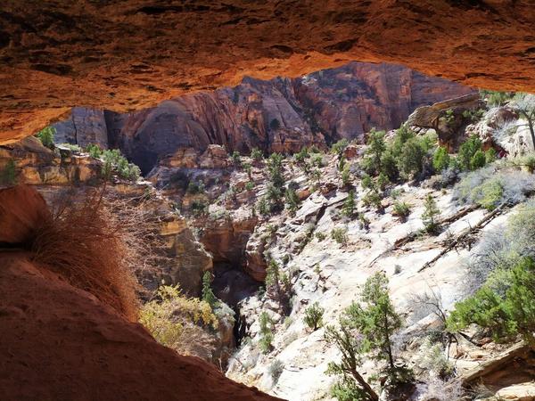 articles/utah-zion-brycecanyon-bestfriends/Zion/IMG_20210308_122500.jpg