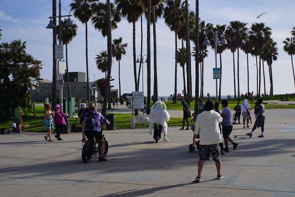 articles/venice-beach-depart/DSC06017.jpg