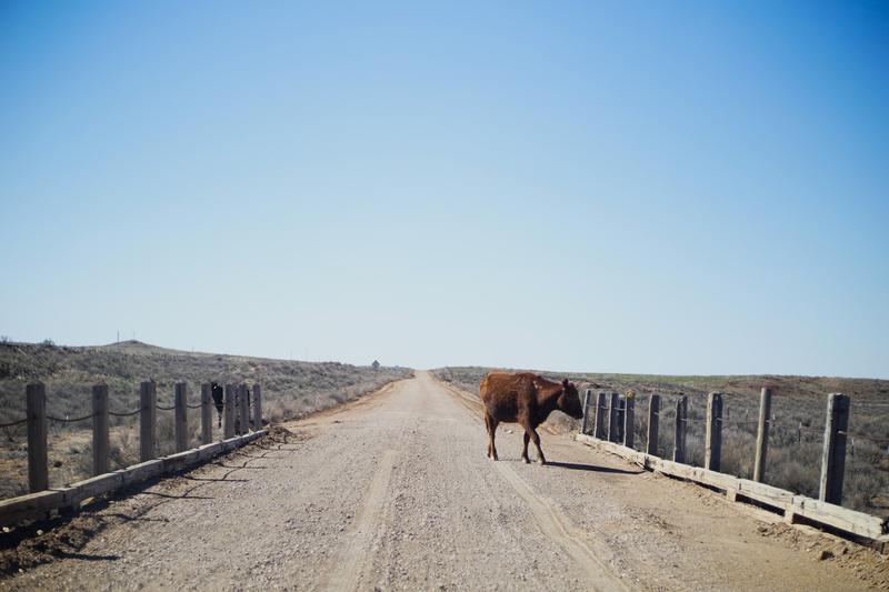 articles/whitesands-breakingbad-route66/Route66NewMexico/DSC04773.jpg