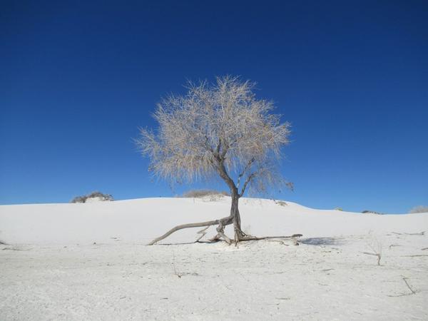 articles/whitesands-breakingbad-route66/WhiteSands/IMG_9639.JPG