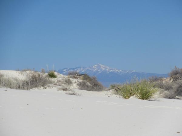 articles/whitesands-breakingbad-route66/WhiteSands/IMG_9641.JPG
