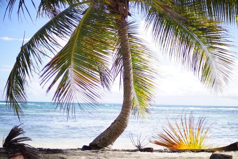 Bienvenue au paradis guadeloupéen