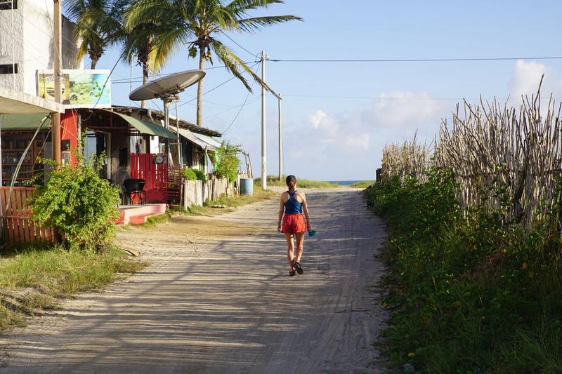 Isla Isabela, la sauvage - Galápagos
