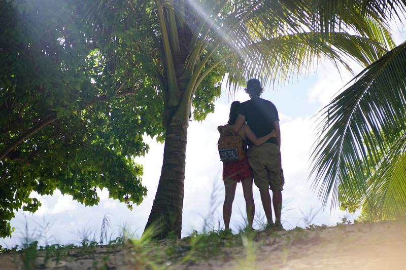 Guadeloupe - épisode 4 : retour en Basse-Terre, volcan, réveillon et départ