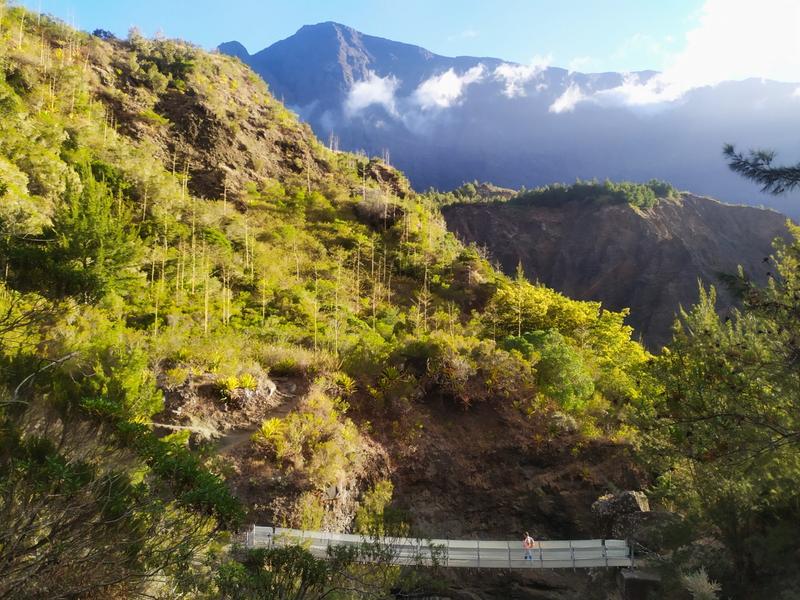 Semaine 3 à La Réunion